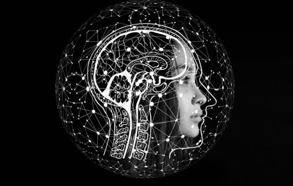 What is Artificial Intelligence And a PC Program Not the Same As An AI