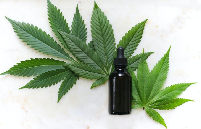 CBD Oil vs. Hemp-Seed Oil (1)