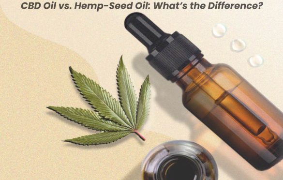 CBD Oil vs. Hemp-Seed Oil: What’s the Difference?