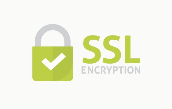  Why it’s OK to go cheap with SSL