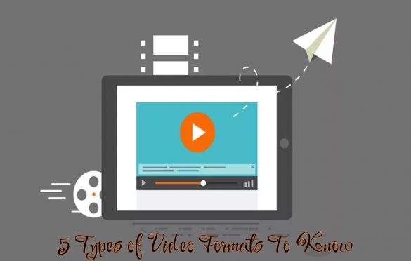  5 Types of Video Formats To Know