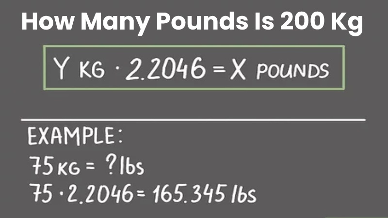 How Many Pounds Is 200 Kg – Pounds to Kgs