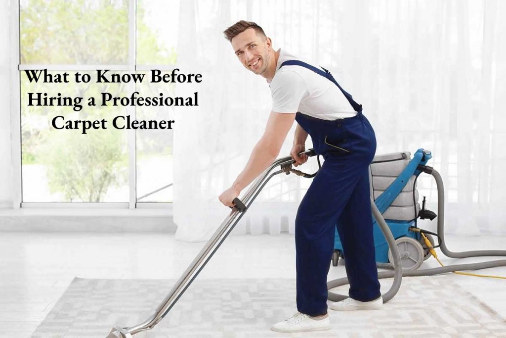 Hiring a Professional Carpet Cleaner