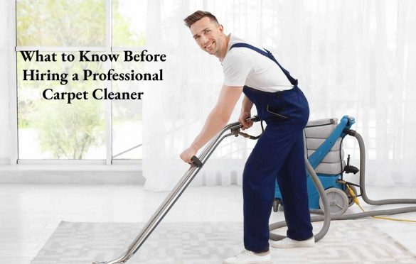  What to Know Before Hiring a Professional Carpet Cleaner