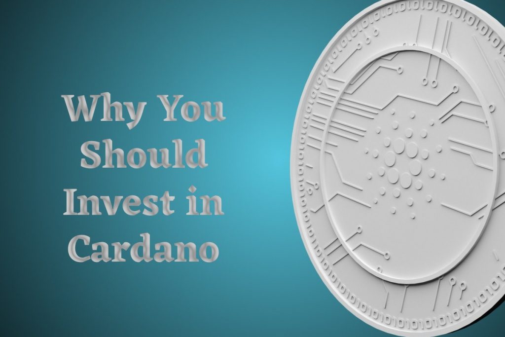 Why You Should Invest in Cardano