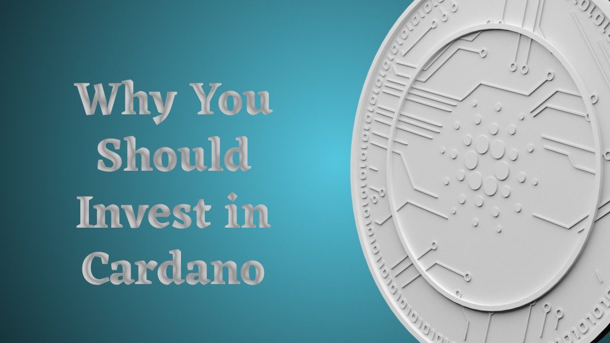 Why You Should Invest in Cardano