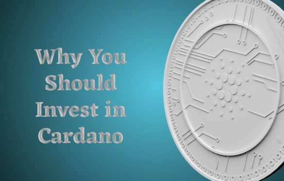  Why You Should Invest in Cardano