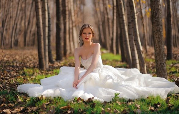 What You Need to Know About Wedding Dresses!