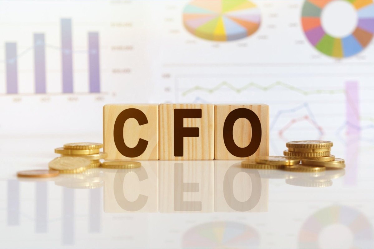 Best 4 Online CFO Courses in India