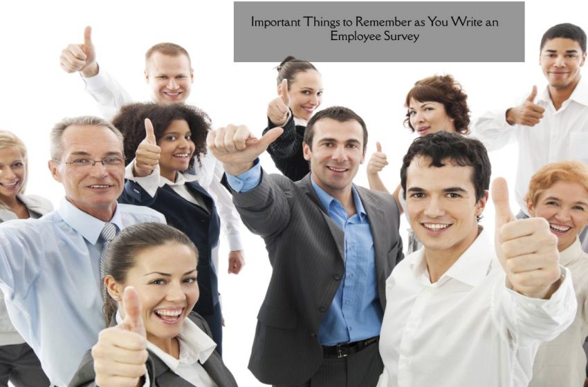  Important Things to Remember as You Write an Employee Survey