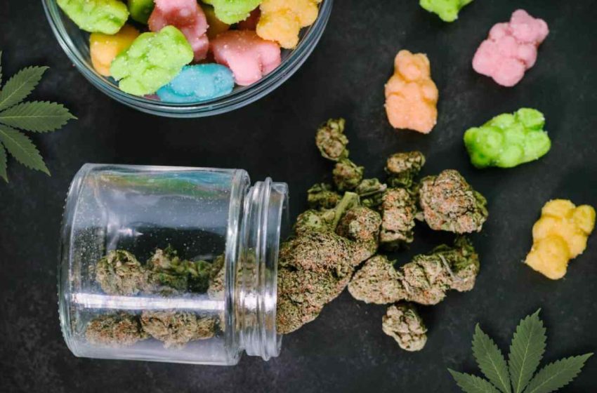  7 Easy Ways to Add Delta 8 Gummies to Your Meal